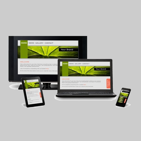 Website Development & Design